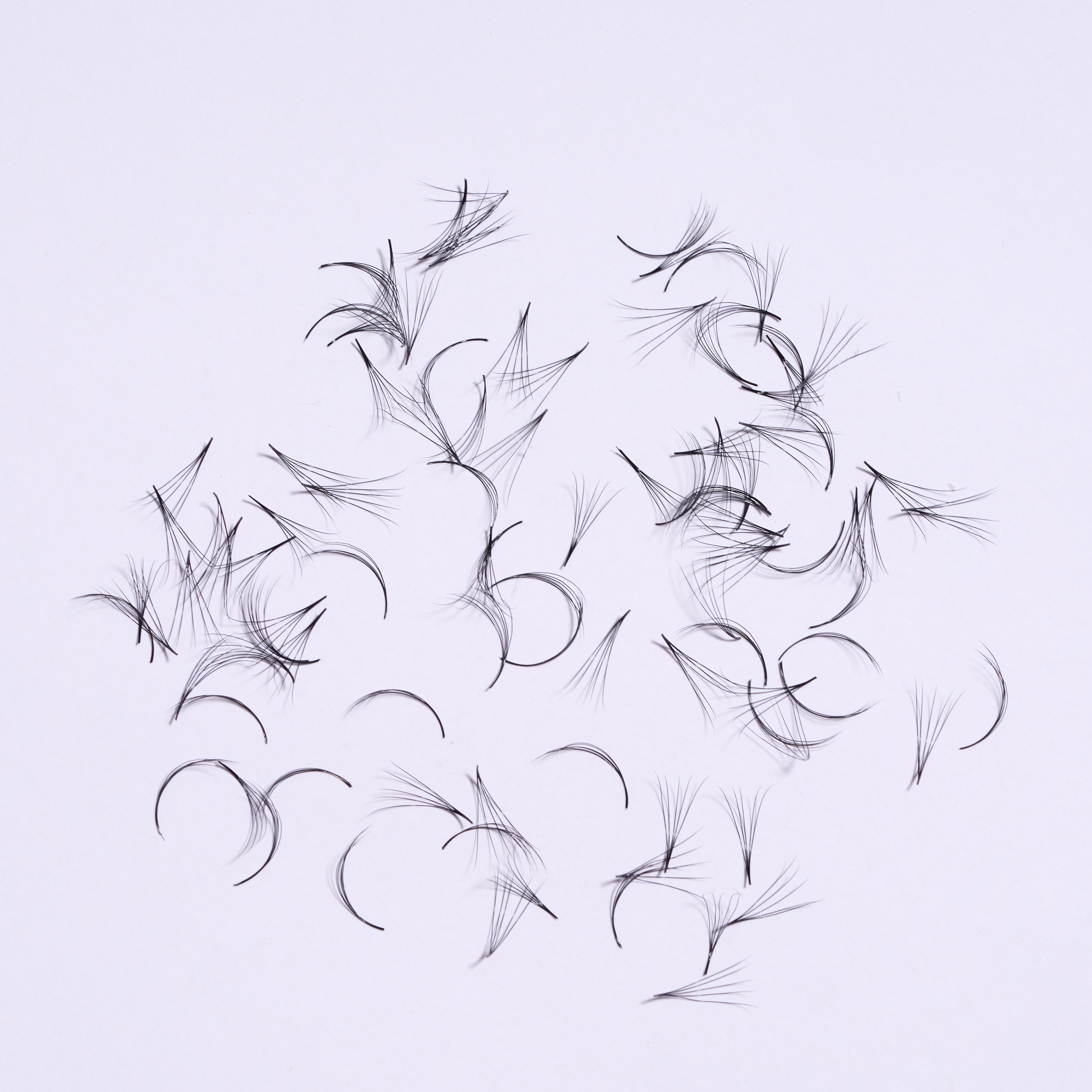 lashes  0.07 5D 12mm D black 01