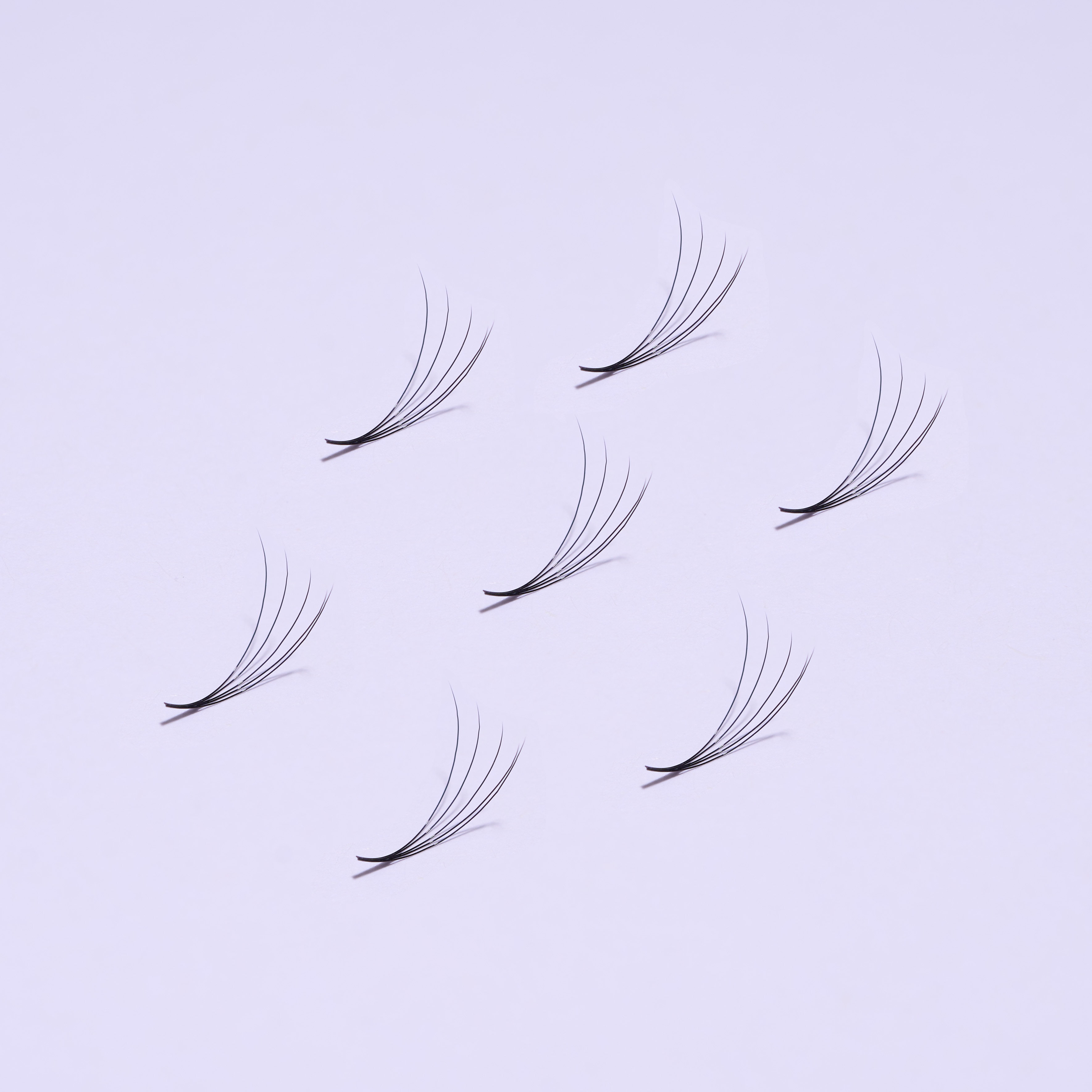 lashes  0.07 5D 12mm D black 01